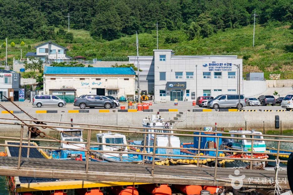 독정항 여행 추천 - 메고지고 독정항 여행 추천 - 메고지고