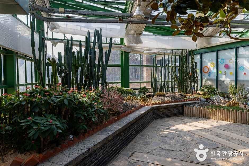 인천환경공단 청라생태공원 여행 추천 - 메고지고
