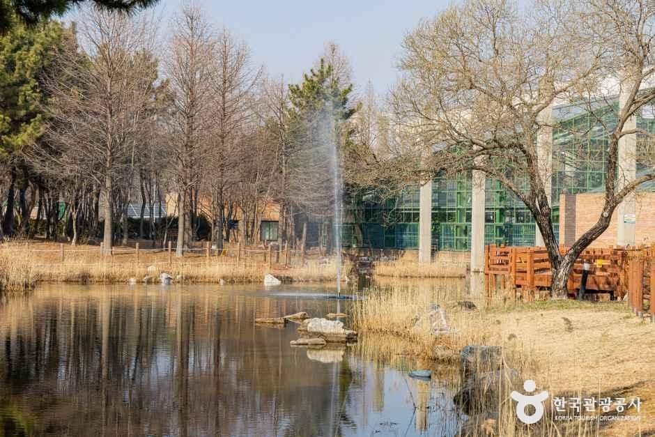 인천환경공단 청라생태공원 여행 추천 - 메고지고