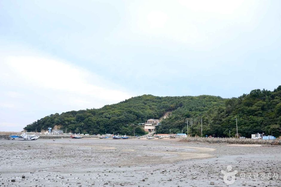 광명항 여행 추천 - 메고지고 광명항 여행 추천 - 메고지고