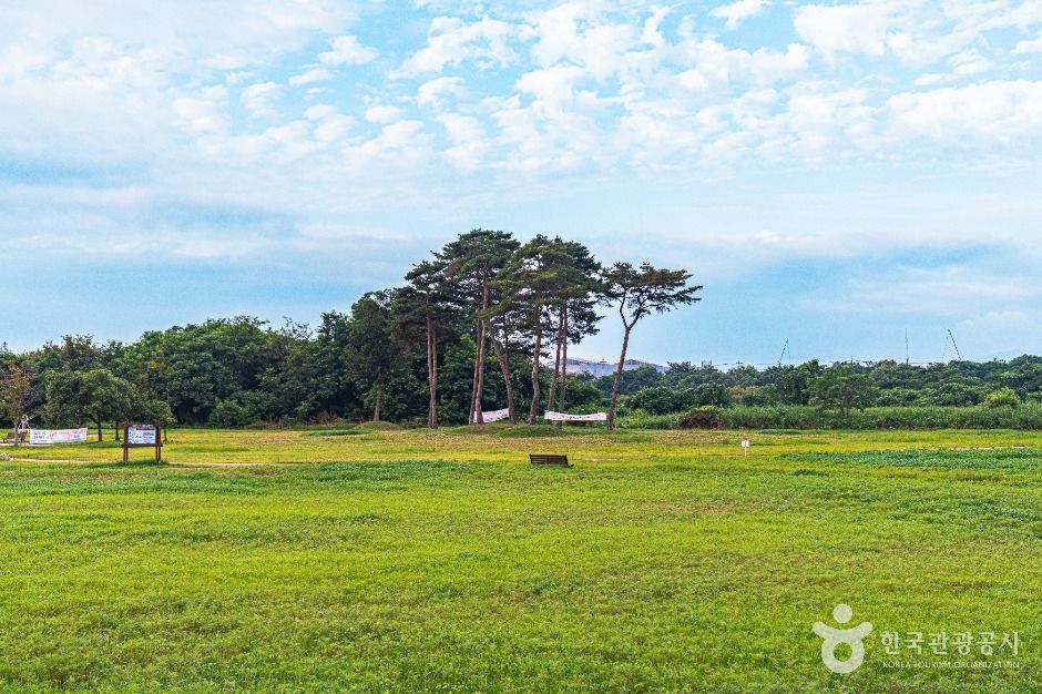 황룡친수공원 여행 추천 - 메고지고 황룡친수공원 여행 추천 - 메고지고