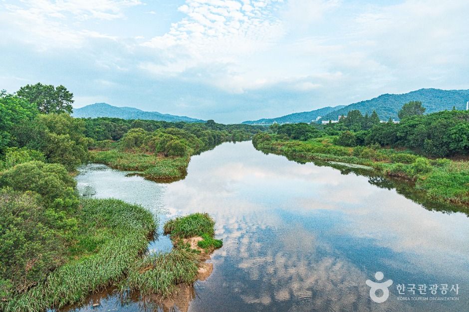 황룡친수공원 여행 추천 - 메고지고 황룡친수공원 여행 추천 - 메고지고