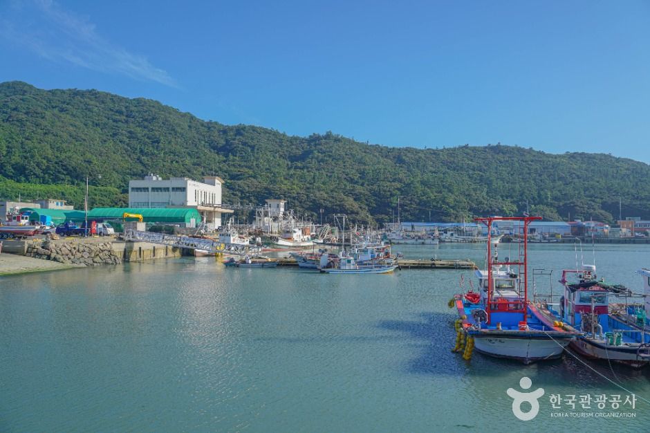 서망항 여행 추천 - 메고지고