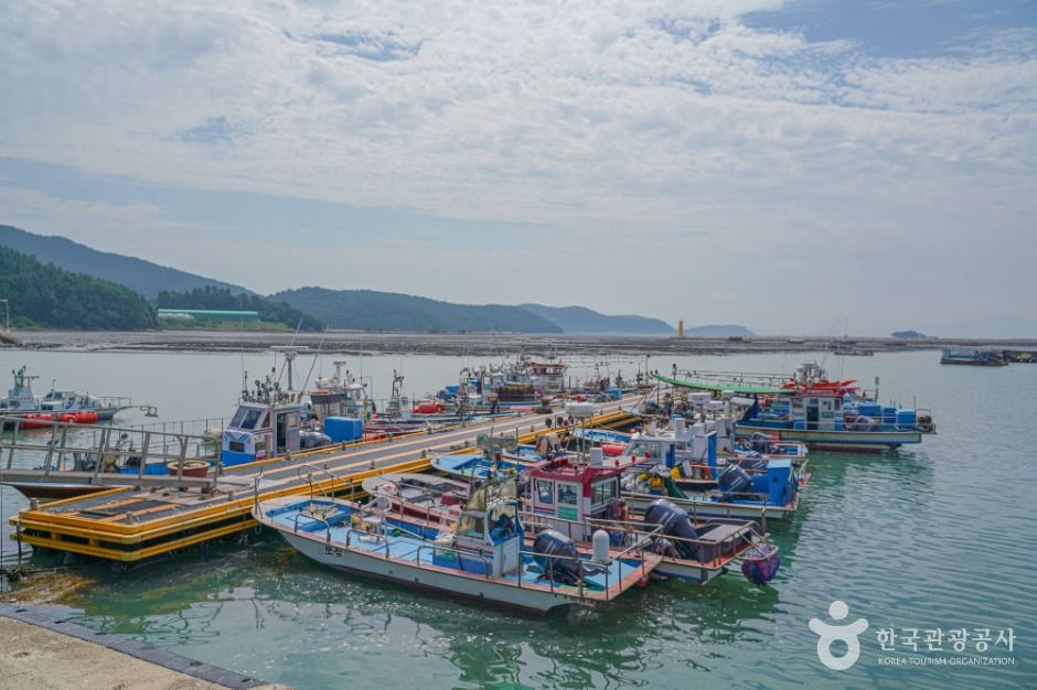 회진항 여행 추천 - 메고지고 회진항 여행 추천 - 메고지고