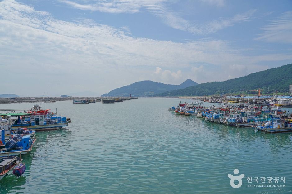 회진항 여행 추천 - 메고지고 회진항 여행 추천 - 메고지고