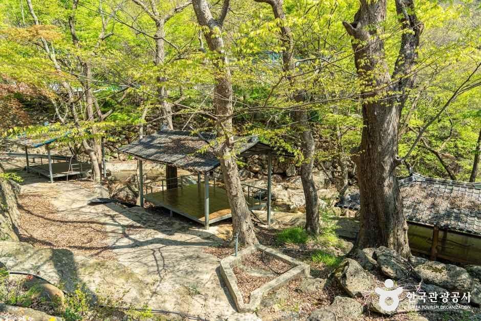 송정마을 여행 추천 - 메고지고 송정마을 여행 추천 - 메고지고