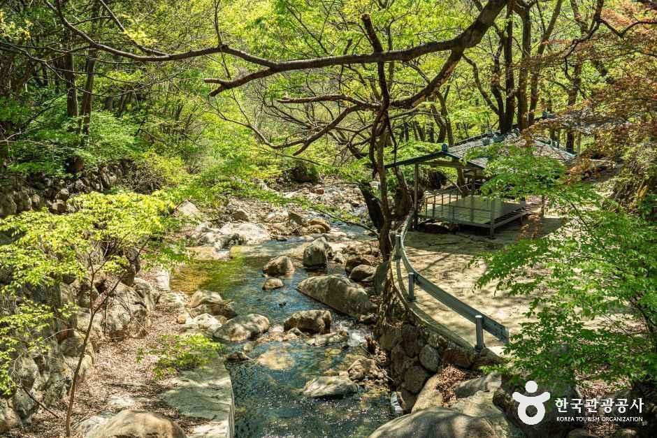 송정마을 여행 추천 - 메고지고 송정마을 여행 추천 - 메고지고