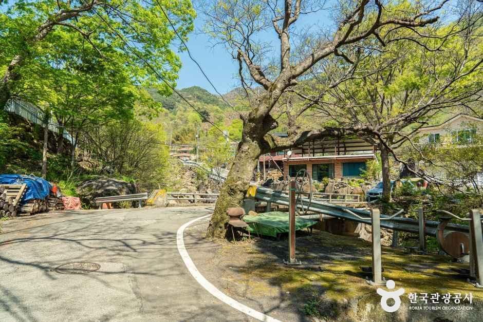 송정마을 여행 추천 - 메고지고 송정마을 여행 추천 - 메고지고