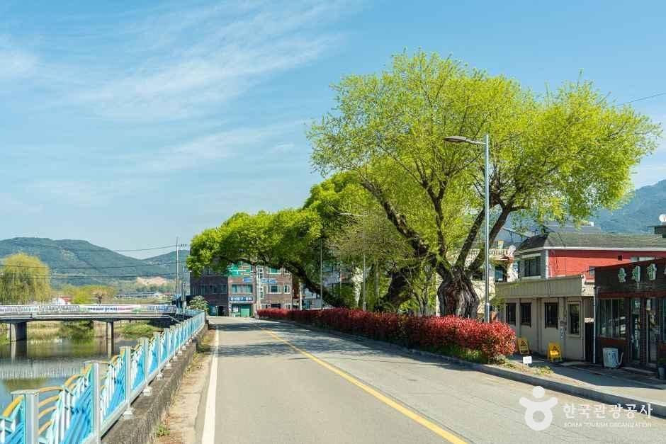 연파마을 여행 추천 - 메고지고 연파마을 여행 추천 - 메고지고