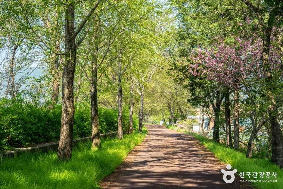 연파마을 여행 추천 - 메고지고 연파마을 여행 추천 - 메고지고