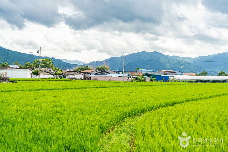 용두마을 여행 추천 - 메고지고 용두마을 여행 추천 - 메고지고