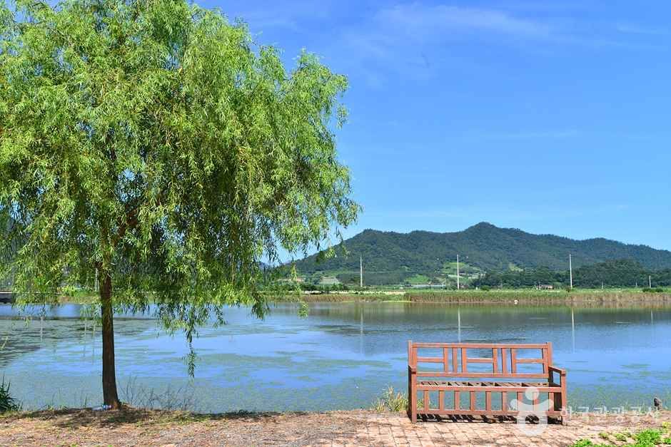 소앵무마을 여행 추천 - 메고지고 소앵무마을 여행 추천 - 메고지고