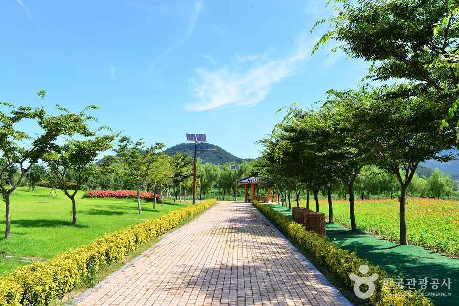 소앵무마을 여행 추천 - 메고지고 소앵무마을 여행 추천 - 메고지고