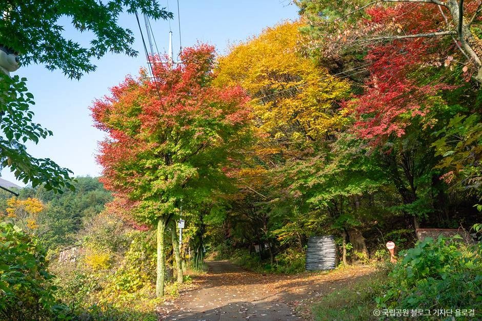 무등산국립공원(전남) 여행 추천 - 메고지고