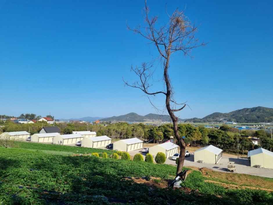 땡땡이글램핑 여행 추천 - 메고지고 땡땡이글램핑 여행 추천 - 메고지고