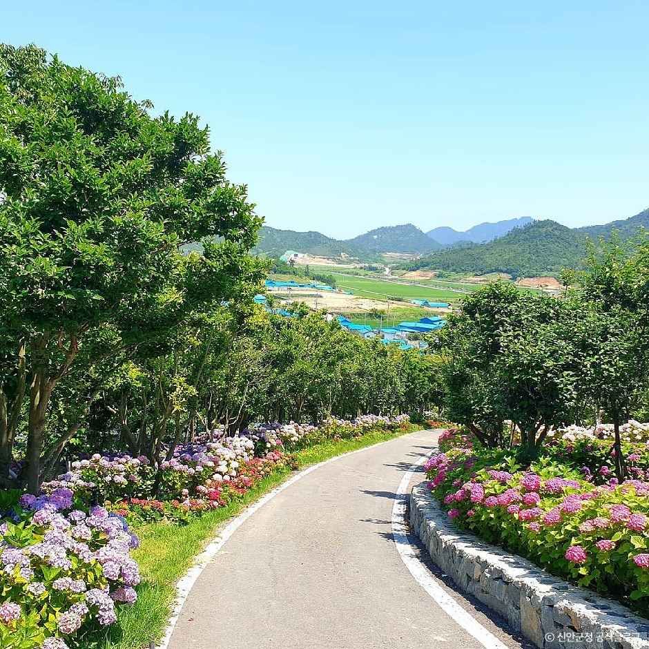 환상의정원 여행 추천 - 메고지고 환상의정원 여행 추천 - 메고지고