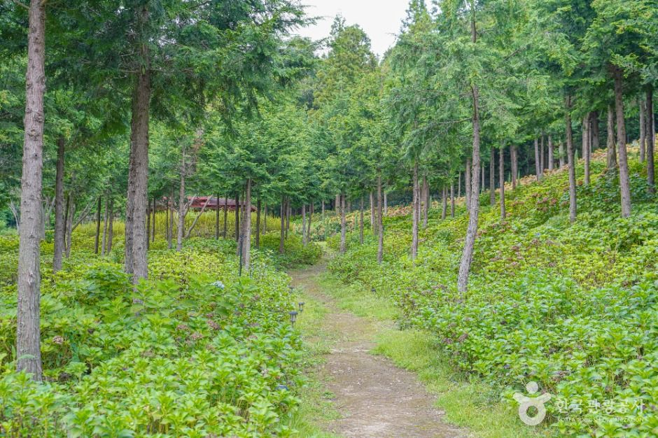 숲정원 윤제림 여행 추천 - 메고지고