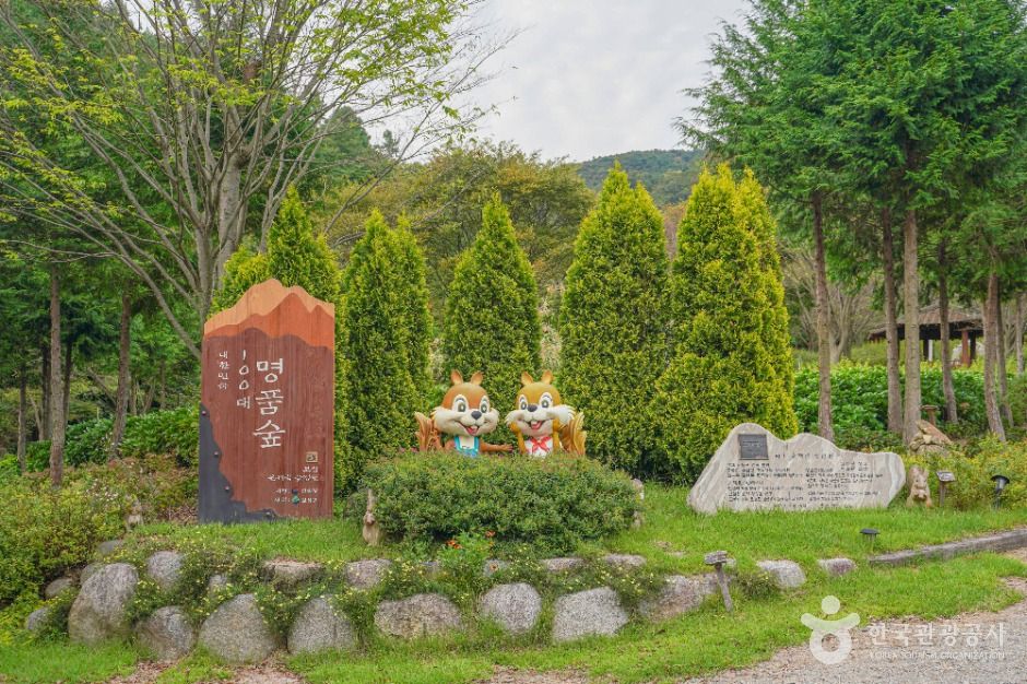 숲정원 윤제림 여행 추천 - 메고지고