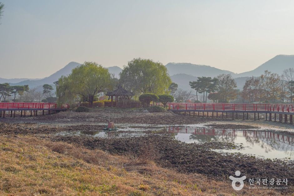 상사화피는마을 여행 추천 - 메고지고