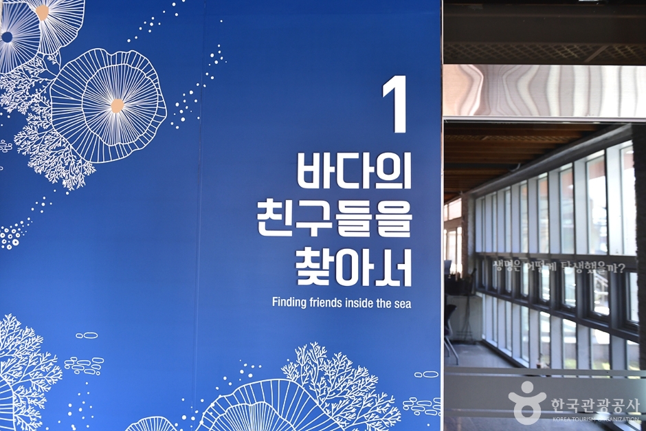 전라남도교육청 자연탐구원 여행 추천 - 메고지고