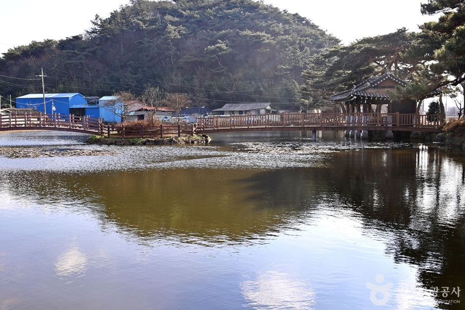 원곡제 여행 추천 - 메고지고
