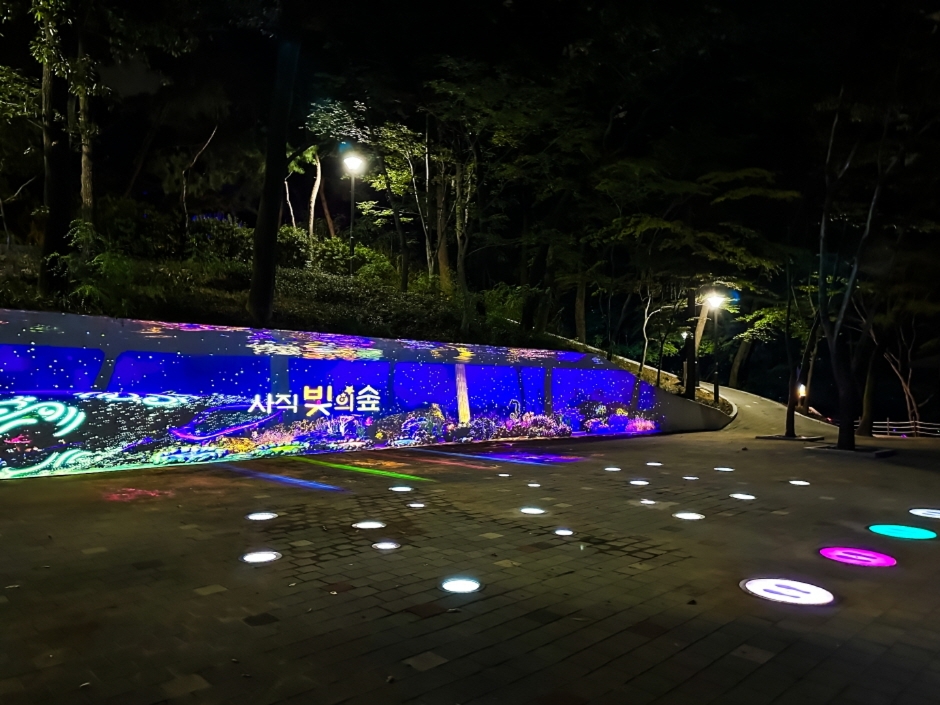 사직 빛의 숲 여행 추천 - 메고지고 사직 빛의 숲 여행 추천 - 메고지고