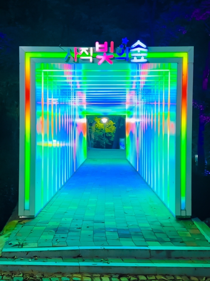 사직 빛의 숲 여행 추천 - 메고지고 사직 빛의 숲 여행 추천 - 메고지고