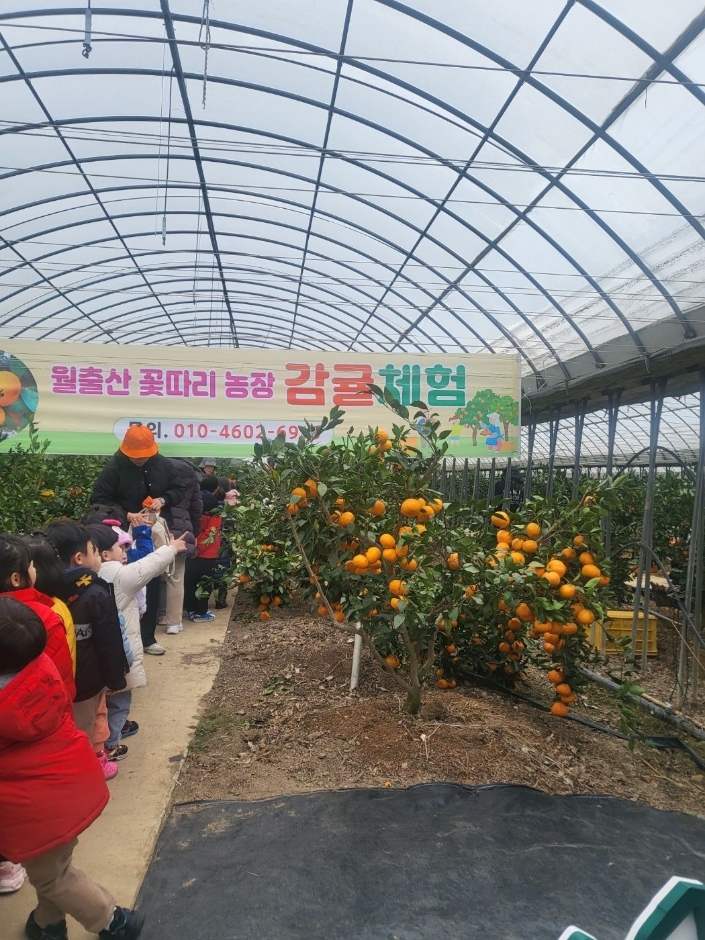 농업회사법인주식회사 월출산꽃따리농장 여행 추천 - 메고지고 농업회사법인주식회사 월출산꽃따리농장 여행 추천 - 메고지고