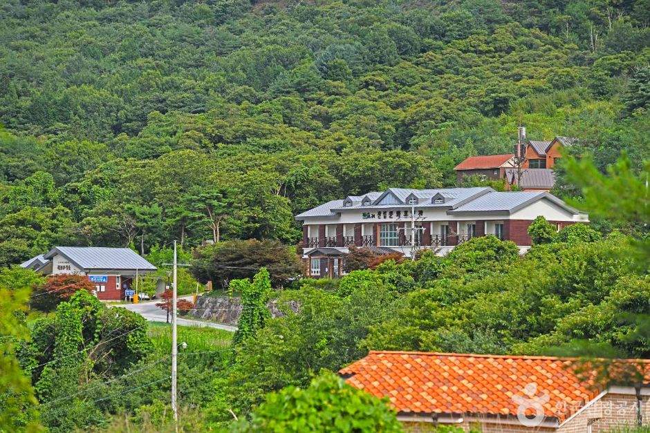 산수유 자연휴양림 여행 추천 - 메고지고 산수유 자연휴양림 여행 추천 - 메고지고