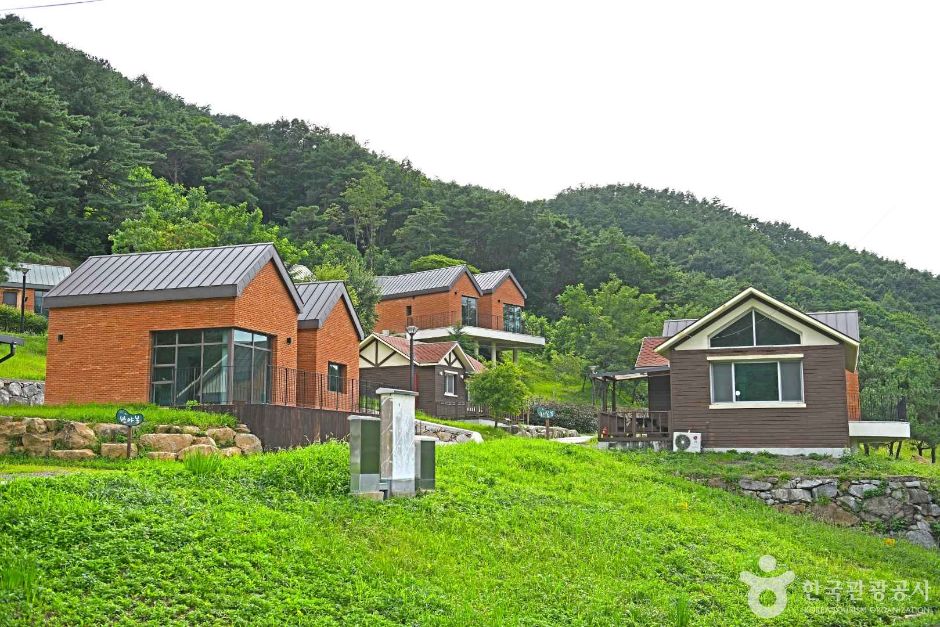 산수유 자연휴양림 여행 추천 - 메고지고 산수유 자연휴양림 여행 추천 - 메고지고