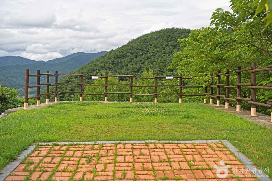산수유 자연휴양림 여행 추천 - 메고지고 산수유 자연휴양림 여행 추천 - 메고지고