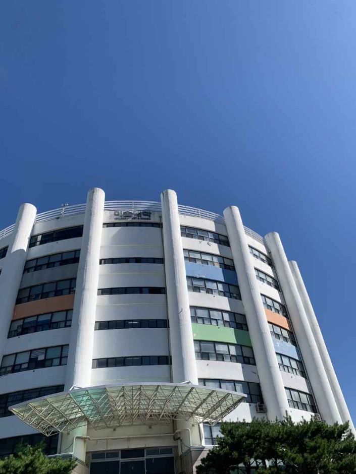 조선대학교 미술관 여행 추천 - 메고지고