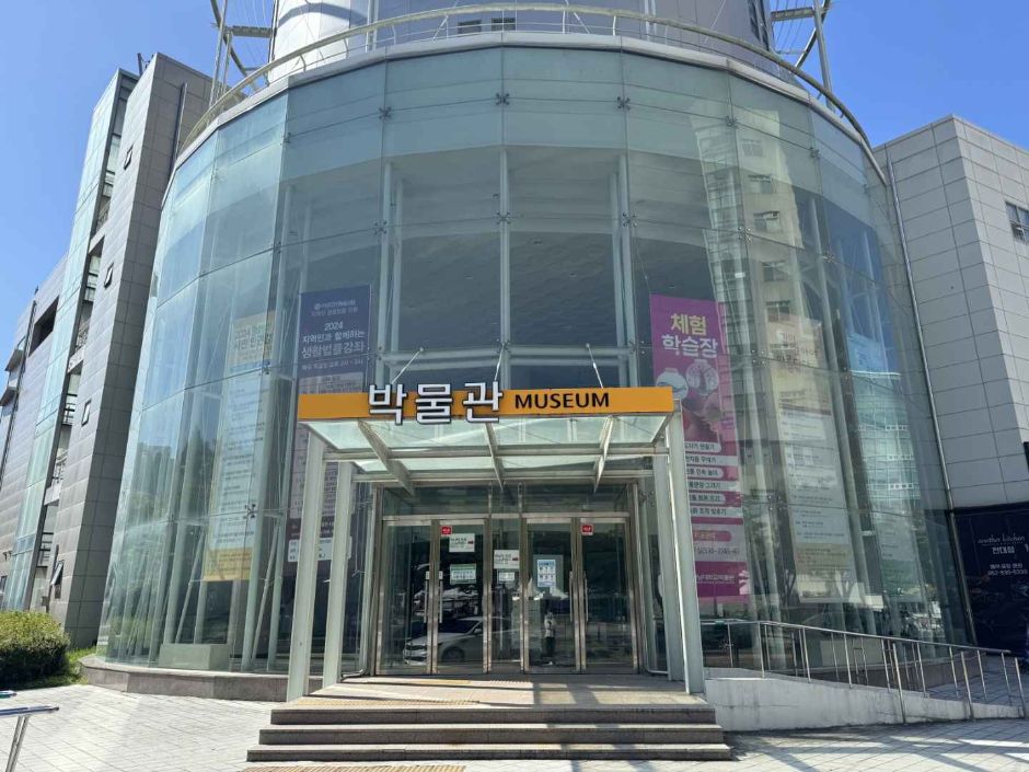 전남대학교 박물관 여행 추천 - 메고지고 전남대학교 박물관 여행 추천 - 메고지고