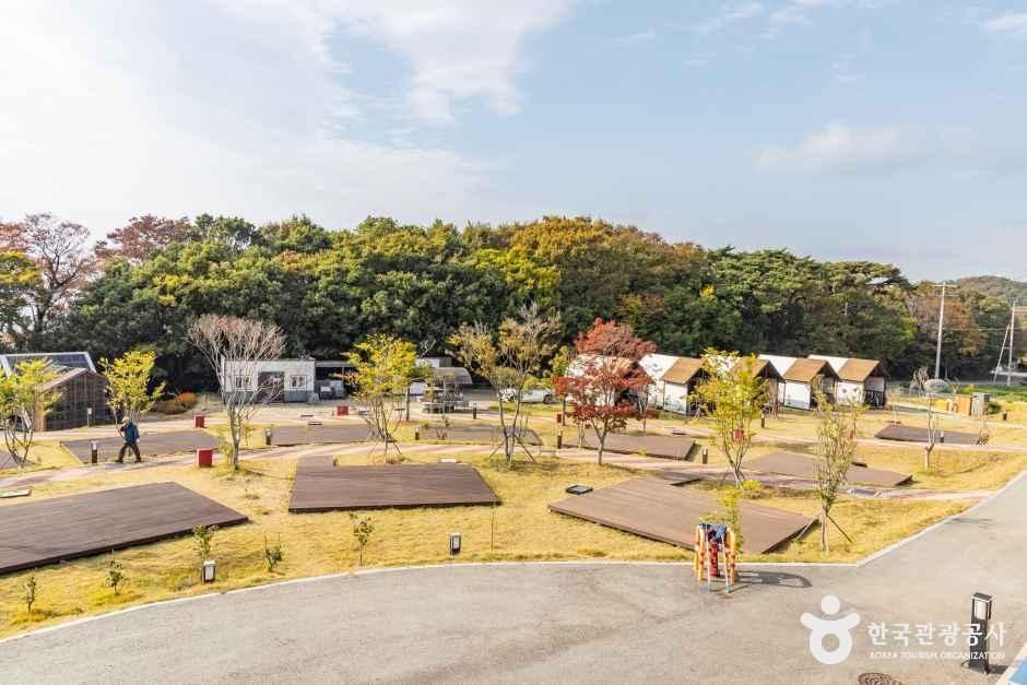 다도해해상 구계등 야영장 여행 추천 - 메고지고 다도해해상 구계등 야영장 여행 추천 - 메고지고