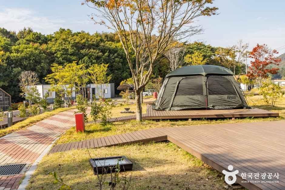 다도해해상 구계등 야영장 여행 추천 - 메고지고 다도해해상 구계등 야영장 여행 추천 - 메고지고