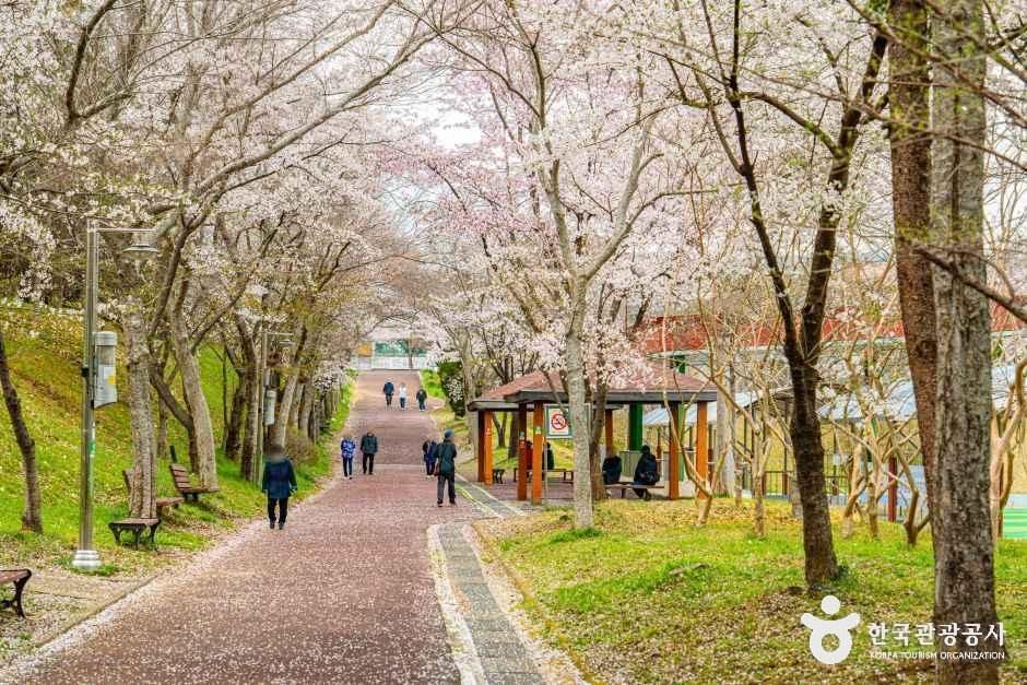 문화근린공원 여행 추천 - 메고지고