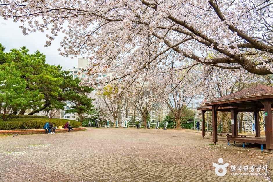 문화근린공원 여행 추천 - 메고지고