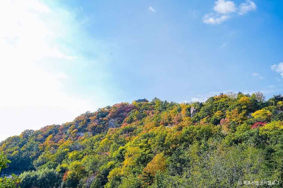 유달산 여행 추천 - 메고지고