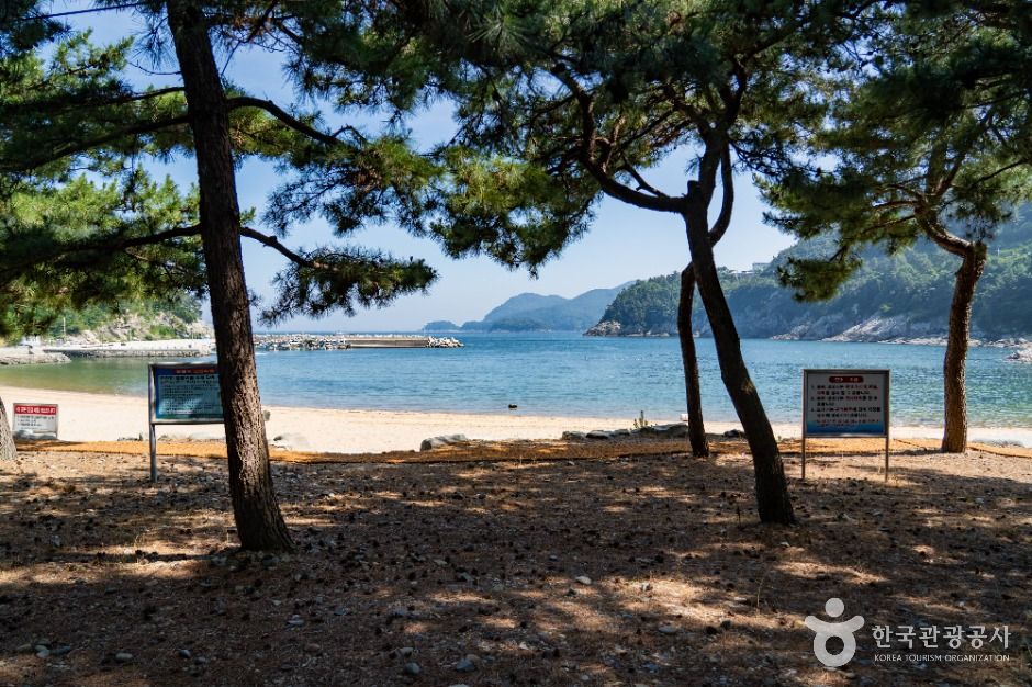 방죽포해수욕장 여행 추천 - 메고지고 방죽포해수욕장 여행 추천 - 메고지고