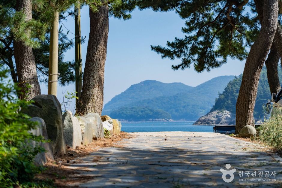 방죽포해수욕장 여행 추천 - 메고지고 방죽포해수욕장 여행 추천 - 메고지고