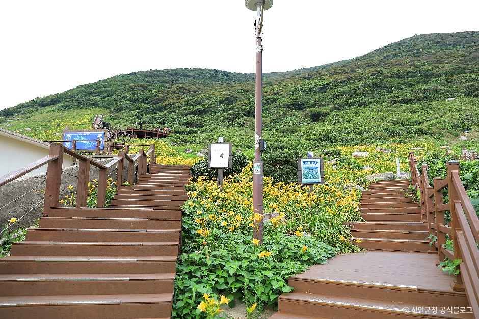 홍도 여행 추천 - 메고지고 홍도 여행 추천 - 메고지고