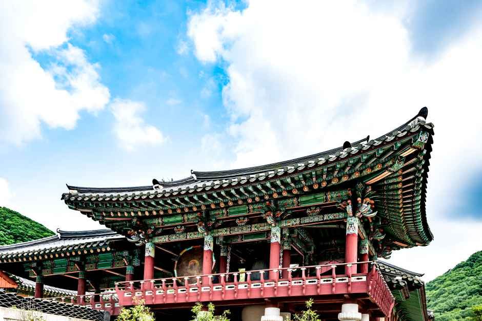 불갑사(영광) 여행 추천 - 메고지고 불갑사(영광) 여행 추천 - 메고지고