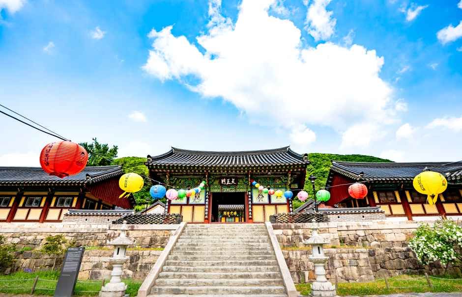 불갑사(영광) 여행 추천 - 메고지고 불갑사(영광) 여행 추천 - 메고지고