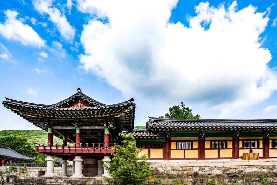 불갑사(영광) 여행 추천 - 메고지고 불갑사(영광) 여행 추천 - 메고지고