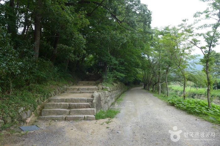 도갑사 여행 추천 - 메고지고