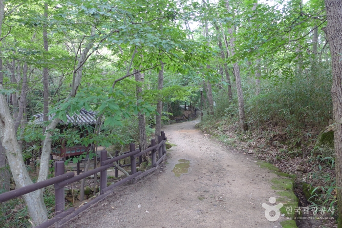도갑사 여행 추천 - 메고지고
