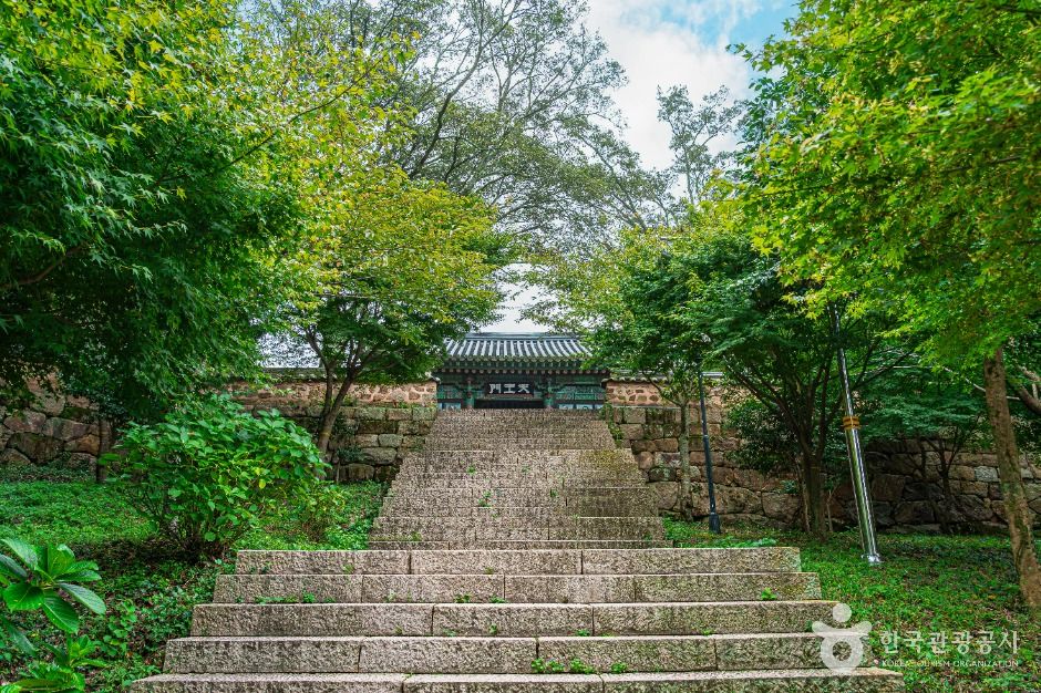 미황사(해남) 여행 추천 - 메고지고 미황사(해남) 여행 추천 - 메고지고