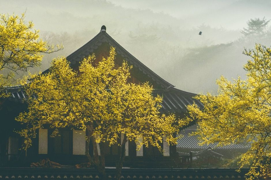 송광사(순천) 여행 추천 - 메고지고 송광사(순천) 여행 추천 - 메고지고