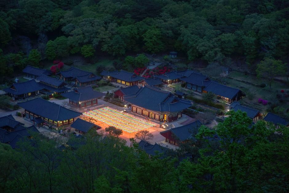 송광사(순천) 여행 추천 - 메고지고 송광사(순천) 여행 추천 - 메고지고