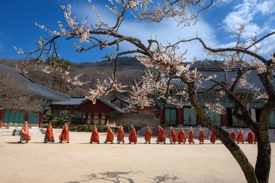 송광사(순천) 여행 추천 - 메고지고 송광사(순천) 여행 추천 - 메고지고